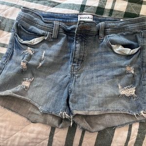 Studio Blue Jean Shorts
